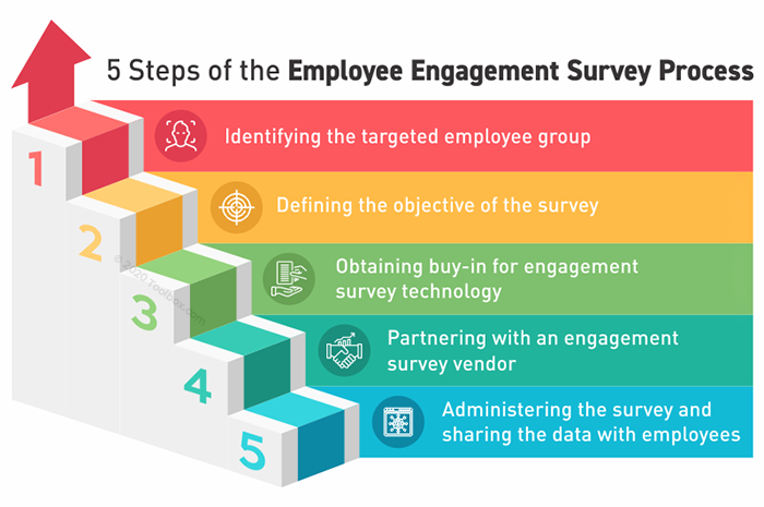 steps for employee engagement survey