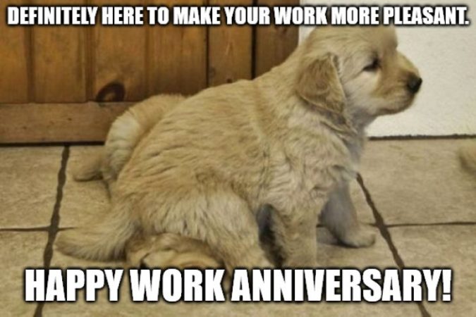 28 Work Anniversary Memes That Will Have Your Co-workers Laughing Out ...