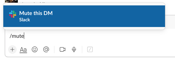 slack slash commands mute
