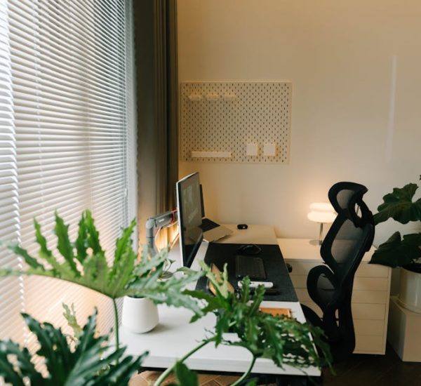 biophilic design