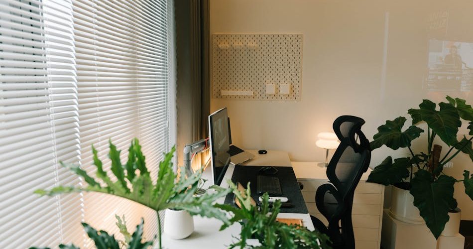 biophilic design