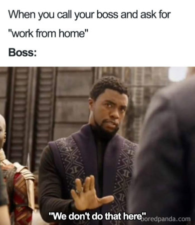 meme 2